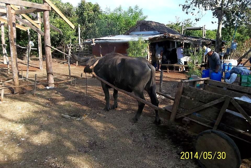 Photo 11 from Bro. Long's 2014 trip to Fuga Island, Philippines