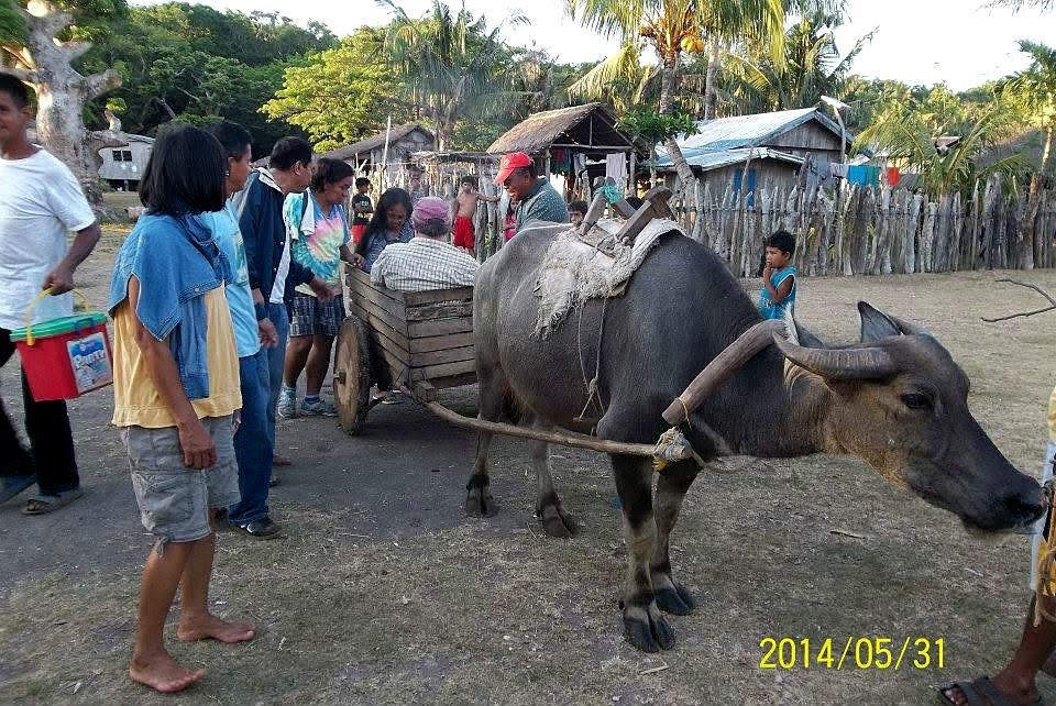 Photo 26 from Bro. Long's 2014 trip to Fuga Island, Philippines